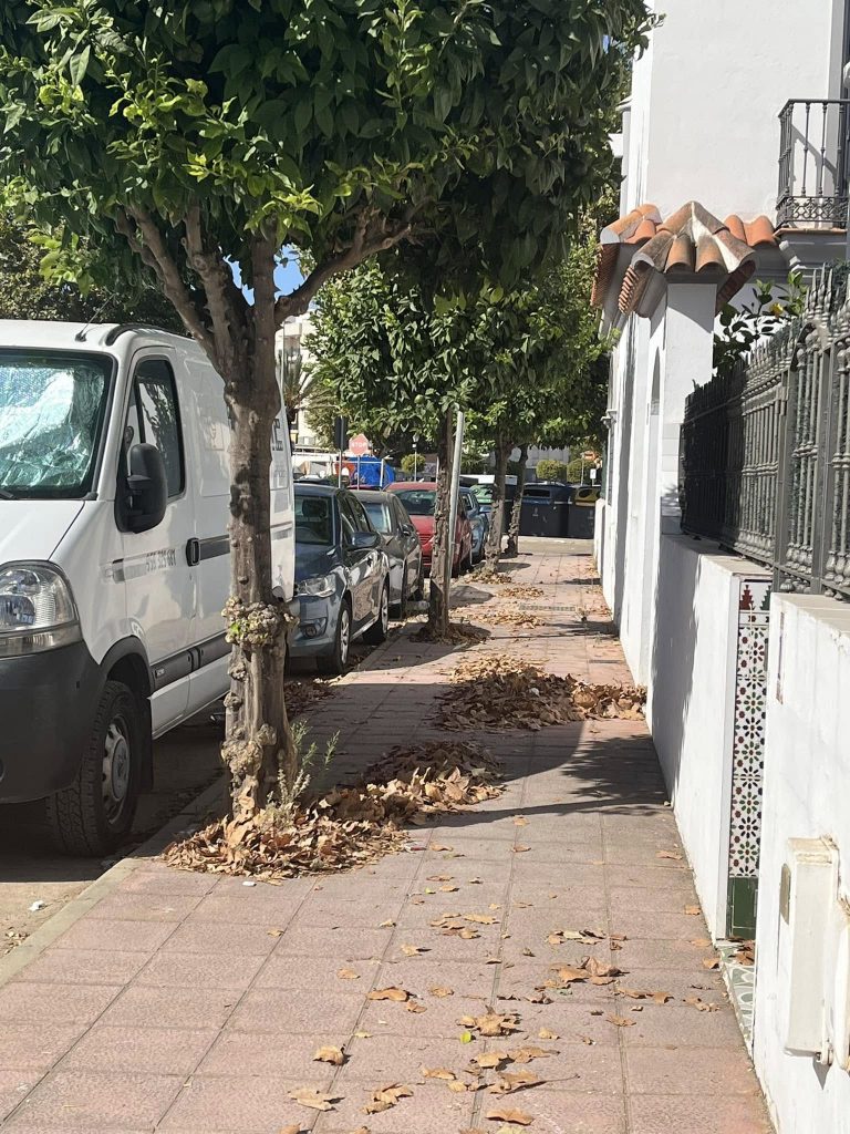 Estado actual de La Antilla y su evolución como destino turístico