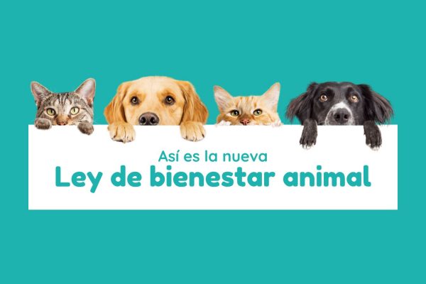 Avances en la Protección de Nuestros Compañeros de Planeta