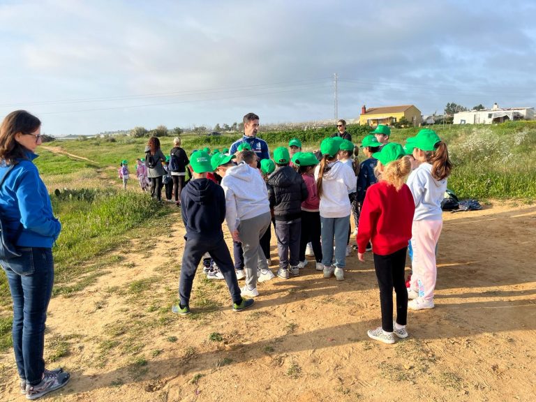 colegio rio piedras proyecto medio ambiental