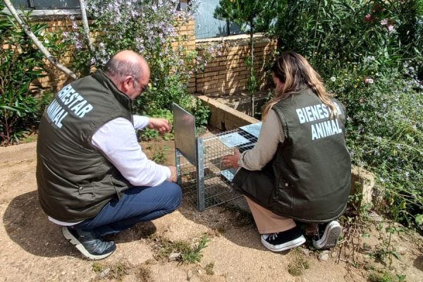 técnico de bienestar animal en Lepe en labores de rescate