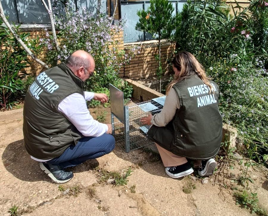 técnico de bienestar animal en Lepe en labores de rescate